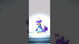 Pokemon Go Full Evolution Line of Shadow Piplup into Shadow Empoleon piplup shadowpokemon [upl. by Suoivatco680]