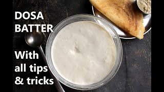 DOSA BATTER RECIPE  HOW TO MAKE DOSA BATTER  HOME with tips and tricks [upl. by Eugene]