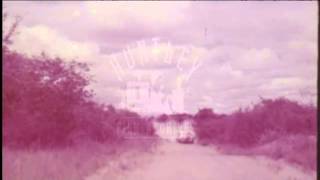 Car Hits Cameraman 1960s  Film 92387 [upl. by Osber]