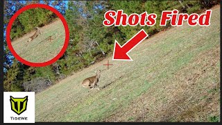 Deer Hunting with Dogs Opening Day Plenty Shots Fired  Season 4 Ep 1 [upl. by Wrench626]