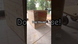 Outdoor doghouse with a floor Goat shelter pigs tortoise backyard build CoopsByJoe fyp viral [upl. by Mckenna]