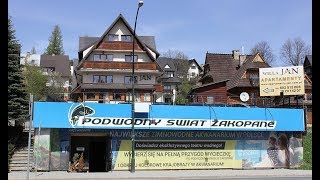 Największe Akwanarium Ryb Słodkowodnych  Podwodny Świat Zakopane [upl. by Junius]