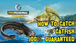 Professional Fishing 2018  Catfish 100 Guaranteed [upl. by Tori]