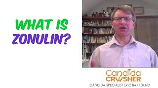 What Is Zonulin [upl. by Victor]