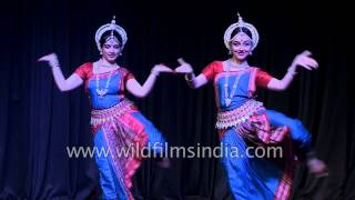 Indian girls perform Odissi dance in Delhi [upl. by Lenuahs]