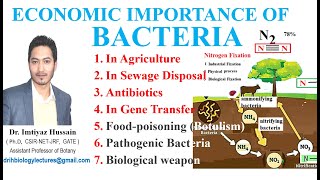 Economic Importance of Bacteria nitrogen fixation dairy industry sewage disposal food poising [upl. by Ecineg]