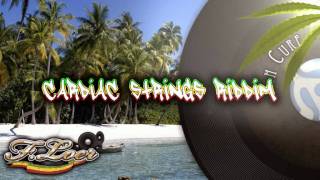 Cardiac Strings Riddim  Reggae  2011  Mix By Floer [upl. by Ahsiea]