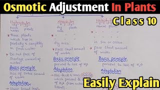 Osmotic Adjustment In Plants  Hydrophytes  Xerophytes  Halophytes  UrduHindi [upl. by Ashil]