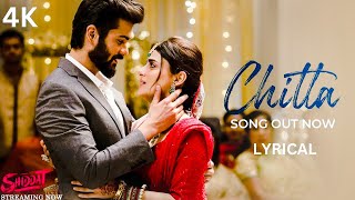 Chitta Song Lyrics English Translation  Shiddat  Sunny Kaushal [upl. by Myers]