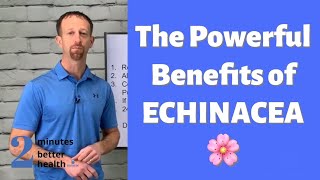 The Powerful Benefits of Echinacea  2 Minutes to Better Health [upl. by Addison631]