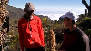 Kilian Jornet  Ascension du Kilimandjaro en courant [upl. by Nivri884]