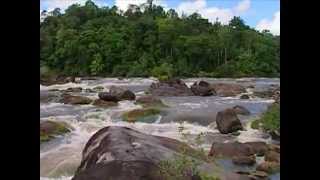 Pontos turísticos Amapá [upl. by Erdei]