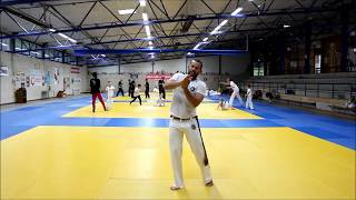 Cultura Breasil Capoeira sport à vierzon France 3 [upl. by Eda]