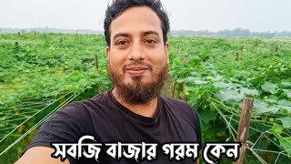 সবজি বাজার গরম ফিল্ডে নেমে যা দেখলাম  Village Vlog  With Palash [upl. by Ranite237]