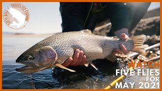 Five Flies for May 2021  Fly Fishing Stillwaters in South Park Colorado [upl. by Gniw]