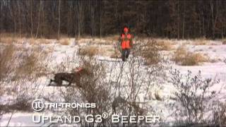 Upland G3 Beeper Introduction Part 1 [upl. by Korrie541]