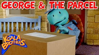 George amp The Parcel 📦🐢  KoalaBrothersTV  Animation for Kids [upl. by Anreval]