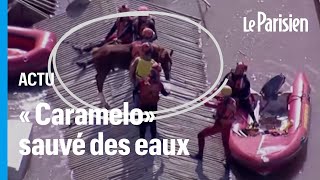 « Caramelo» le cheval bloqué sur un toit au Brésil à cause des inondations a été sauvé [upl. by Akihsan48]