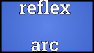 Reflex arc Meaning [upl. by Anaerda]