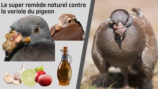 Le super remède naturel contre la variole du pigeon [upl. by Waldner]