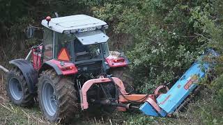 Massey Ferguson 4245 and Stark KDL 200 forage machine in action [upl. by Monia923]