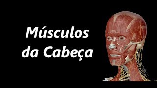 Anatomia dos Músculos da Cabeça em 3D [upl. by Adara]