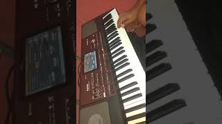 Korg pa700 cumbia [upl. by Eillim]