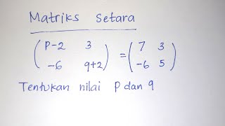 Kesamaan Matriks  Menentukan Nilai P dan Q  Matematika SMA [upl. by Erehpotsirhc428]