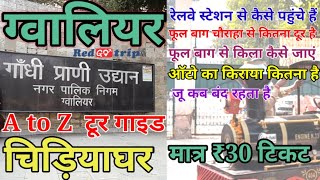 Gwalior zoo full tour guide video  Gwalior zoo trip plan  Gwalior zoo complete information [upl. by Eimme]