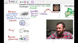 Pathogens and Immunity OCR A Level Biology 41 [upl. by Damha]