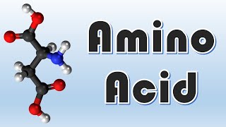 Classification of Amino Acid  Biochemistry  سنة أولى طب  كيمياء الحياتية  M1000  21 [upl. by Trace]