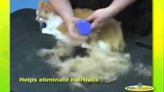 FURMINATOR DEMONSTRATION [upl. by Noslien]