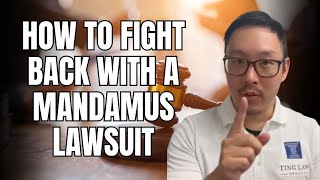 USCIS Processing Delays How to Fight Back with a Mandamus Lawsuit [upl. by Nodarse]