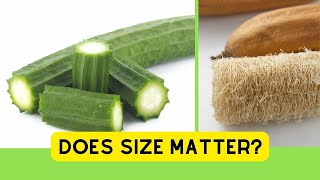 Bigger or Better Lets Do A Loofah Taste Test aka Luffa Squash [upl. by Ruff]