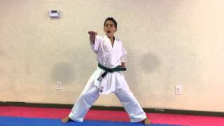 27 Movements  RHKA Dojos [upl. by Yanehs]