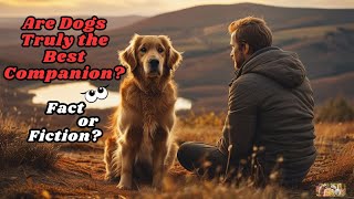 Why Do Dogs Shine as Humanity’s Best Companion dog doglover doglife [upl. by Elisabet646]