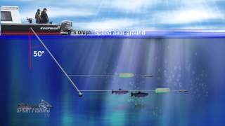 Reading Downrigger Cable Angles [upl. by Ruskin]