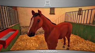 My horse world trailer  Roblox Horse World [upl. by Annawt970]