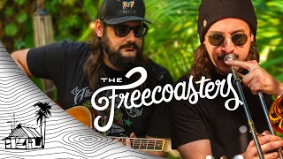 The Freecoasters  Whats Going On  Marvin Gaye Cover Live Music  Sugarshack Sessions [upl. by Wang]