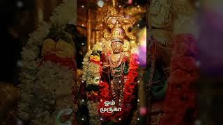 Alagendra sollukku muruga Song tamilwhatsappstatus status tamil viral [upl. by Eilrak]