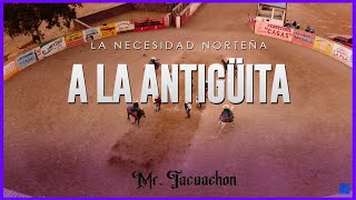 A la antigüita de La Necesidad Norteña  Mr Tacuachon 2022 [upl. by Liza130]