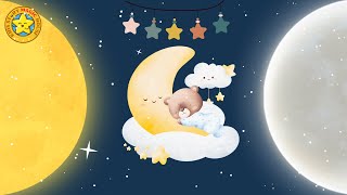 🎵 🌟🦉Sleeping Bears🌙💤Baby Sleep Music Lullaby🎵 🌟 [upl. by Essilec810]