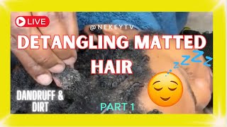 ASMR DETANGLING DIRTY MATTED NATURAL HAIR Part 1 satisfying naturalhair dandruff [upl. by Necyrb]