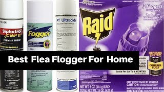 Best Flea Fogger Bombs Reviews for House [upl. by Darnell291]