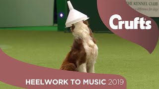 Freestyle International Heelwork to Music  Part 1  Crufts 2019 [upl. by Repsaj777]