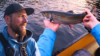 5 Days in Algonquin  Paddling and Portaging for Brook Trout [upl. by Laamaj769]