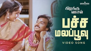 Pachamala Poovu Song  Kizhakku Vaasal Movie  Karthik  Revathi  Ilaiyaraaja Sathya Jyothi [upl. by Ecienal24]