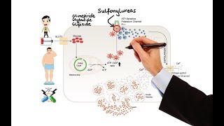 Pharmacology  DRUGS FOR DIABETES MADE EASY [upl. by Sulakcin789]