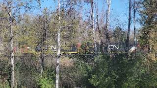 CN 5445 L519 Arrival at West Ladysmith on 101624 [upl. by Onin175]