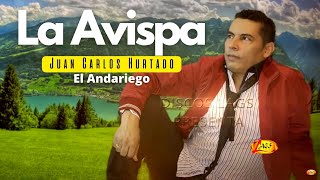 Juan Carlos HurtadoquotEl Andariegoquot  La Avispa  Música Popular [upl. by Caputo]